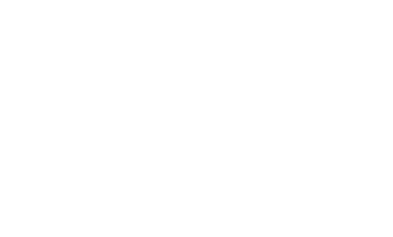 APFED logo